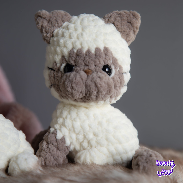 پیشی دو رنگ