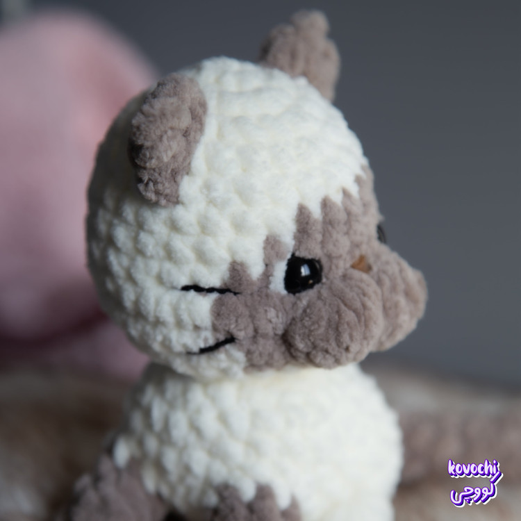 نیم رخ پیشی