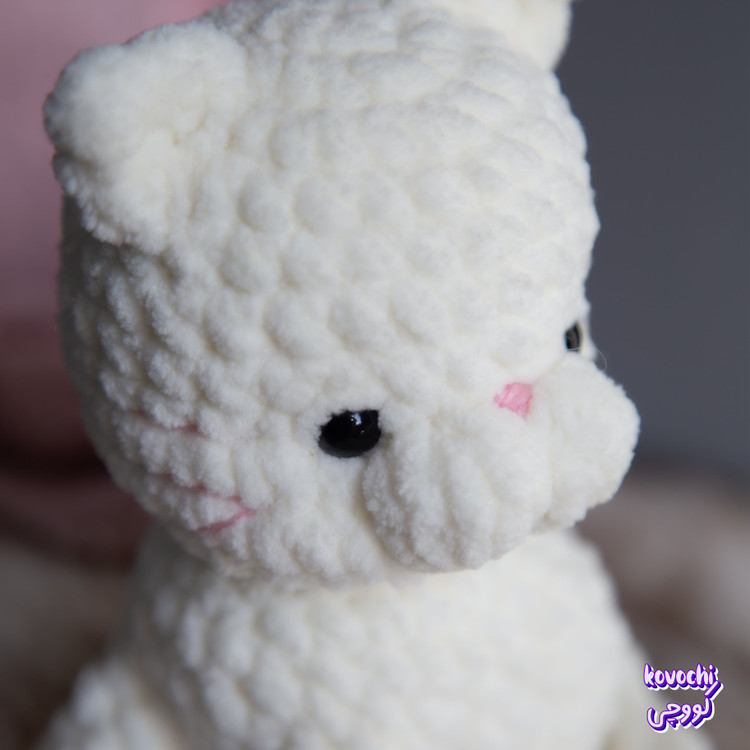 مماغ صورتی پیشی