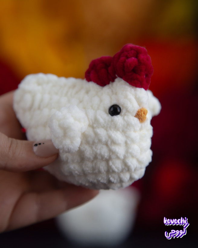 مرغ نوک نارنجی ملایم